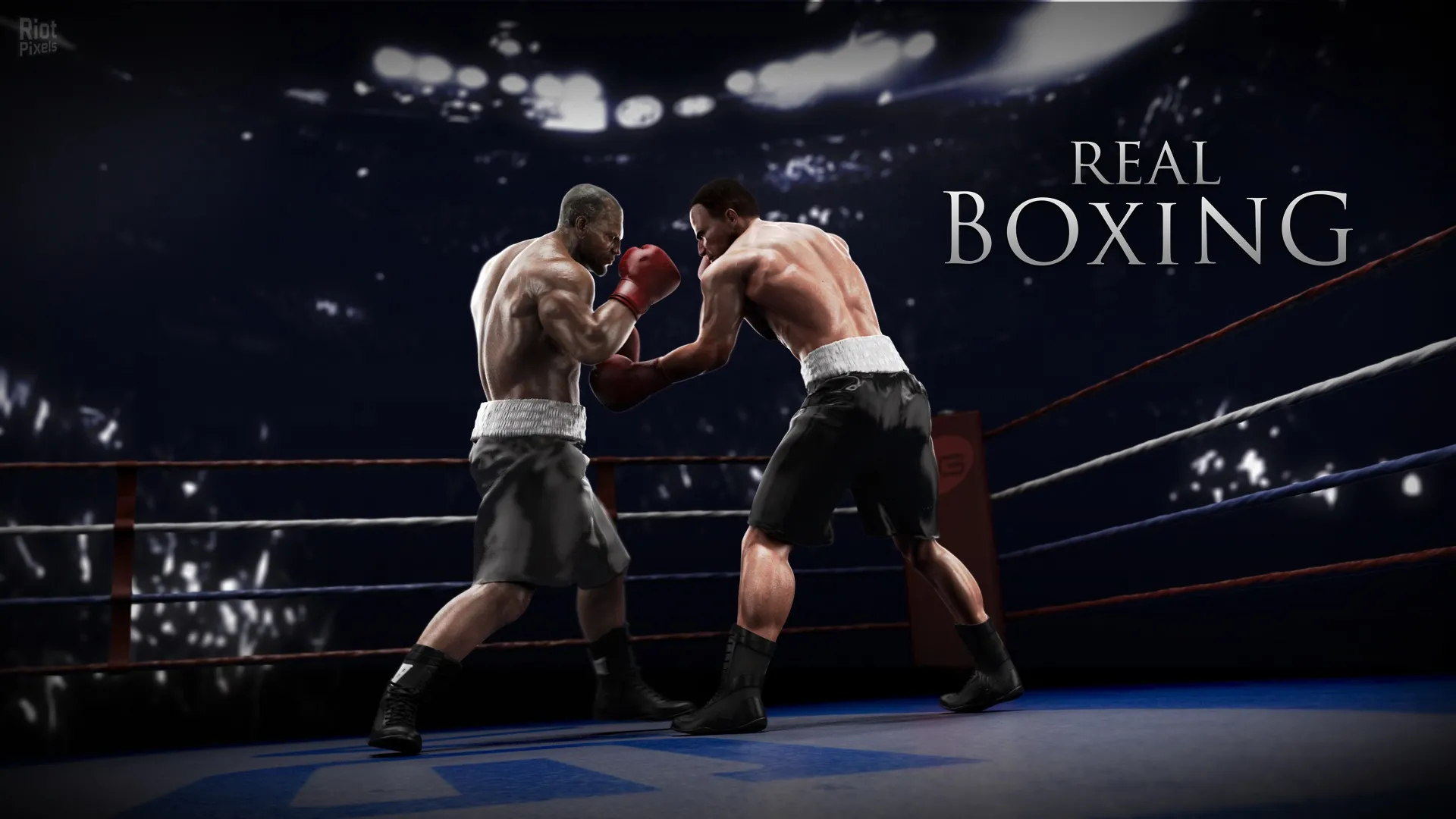 Real Boxing 2014